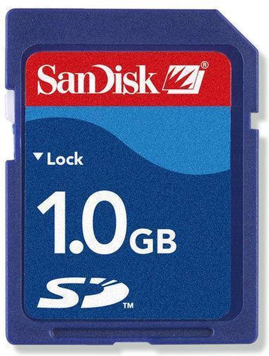 Afzonderlijk monster Menagerry Sandisk SD kaart 1 GB | bol.com