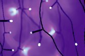 Polarlite PLC-03-003 Micro-lichtketting Buiten werkt op het lichtnet Aantal lampen 80 LED Violet Verlichte lengte: 12.64 m
