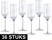 Champagneglas/glazen - 22 centiliter - 36 stuks