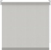 BloomTheRoom rolgordijn - Licht grijs - Transparant - 150x190 cm