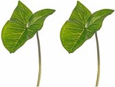 Kunst Aronskelkblad bladgroen tak 53 cm - Nepplanten/kunstplanten kunsttakken