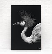 HIP ORGNL Schilderij Crown Bird - Kraanvogel - 40x60cm - Wanddecoratie dieren - Zwart wit