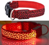 Professor Q - Lichtgevende hondenhalsband - 48 tot 60 cm - Panter print - Rood