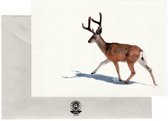 Realistische Tekening Postkaarten: Edelhert - Rendier - Rendieren - Eland - Set van 8 Kaarten - Geprint op Duurzaam Papier