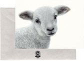 Realistische tekening Postkaarten Set: Konijn, Eekhoorn, Eend, Lammetje, Egel, Vos - Jonge Dieren - Set van 6 Wenskaarten - Geprint op Duurzaam Papier