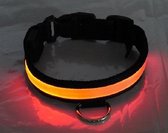 Led Honden Halsband Oranje Maat S