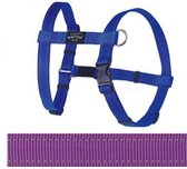 Rogz For Dogs Fanbelt Hondentuig - Paars - 20 mm x 45-75 cm