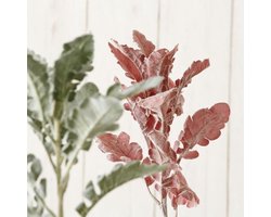 Tak - 2 stuks- Groen - Rood - 47cm
