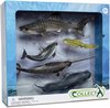 Collecta Zeedieren: Speelset In Giftverpakking  5-delig