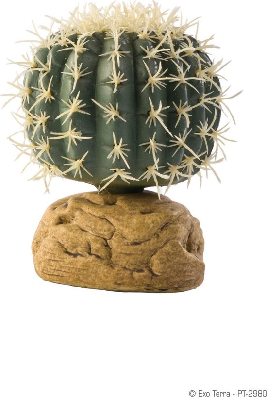 Exo Terra Cylinder Cactus Small - Terrarium Deocatie - 7 x 7 x 9,5 cm
