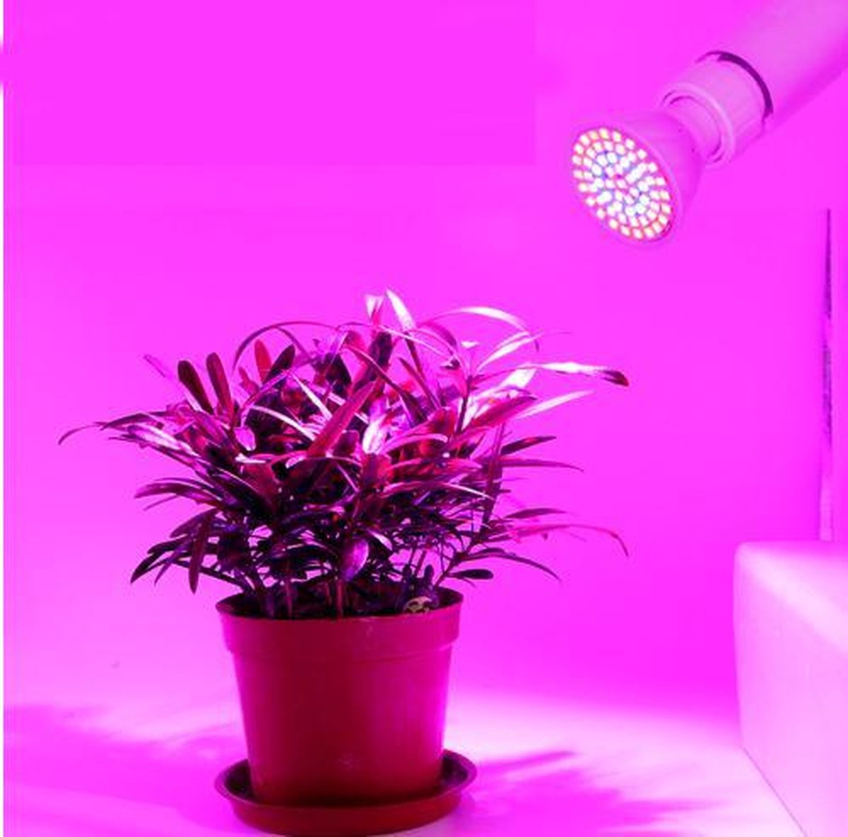 LED Lampada cfl Groeilamp E27 110 V 220 V Volledige Spectrum Indoor Plant Lamp Voor Planten Vegs Hydrocultuur Systeem Plant LED Lampada cfl Grow Light E27  110V 220V Full Spectrum Indoor Plant Lamp For Plants Vegs Hydroponi