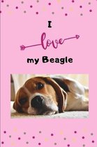 I love my Beagle