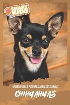 Unbelievable Pictures and Facts About Chihuahua
