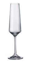 Champagneglazen Corvus - Kristal - 160ml - 6 stuks