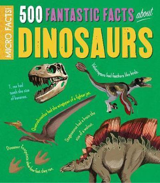 Micro Factfrom Layout Micro Facts!, Anne Rooney | 9781788884990 | Boeken | bol.com
