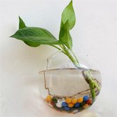 Hangende Ronde Planten Vaas - Decoratieve Vaas voor Planten - Ook te Gebruiken Als Mini Aquarium - Set van 2 Stuks