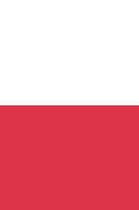 Poland Flag Notebook - Polish Flag Book - Poland Travel Journal