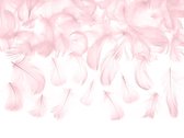 Partydeco - Decoratieve veren roze