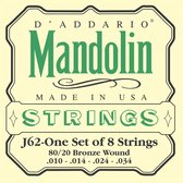 D'Addario EJ62 80/20 Bronze Mandolin Strings 10-34 mandolinesnaren