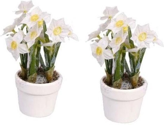 2x fleurs artificielles de Narcisse dans un pot blanc 23 cm pour  l'intérieur | bol.com