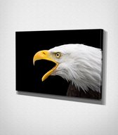 Eagle Canvas | 70x100 cm