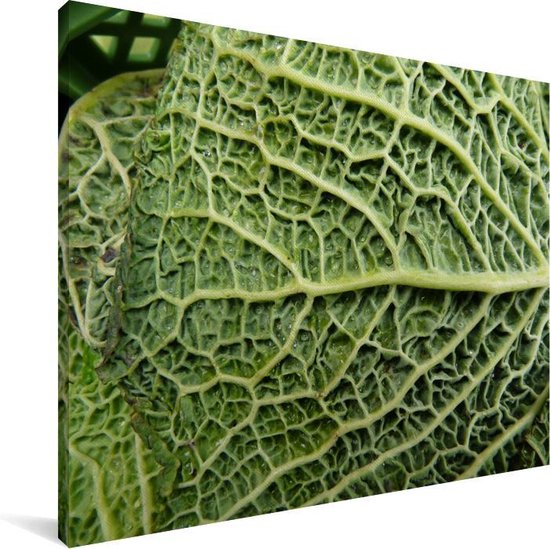 Les veines de la feuille dans un chou vert Toile 40x30 cm - petit - Tirage photo sur toile (Décoration murale salon / chambre)