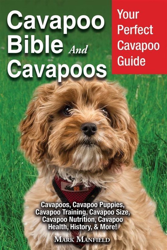 Cavapoo Bible And Cavapoos - cover