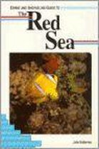 Diving and Snorkeling Guide to the Red Sea