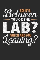 So It's Between You or the Lab When Are You Leaving