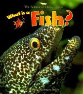 What Is a Fish?