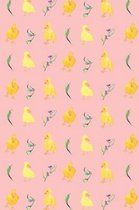 Duck Journal