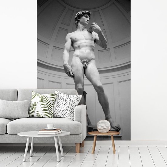 Michelangelo's standbeeld van David in Italië fotobehang vinyl 260x400 cm - Foto print op behang