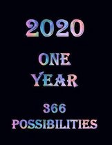 2020 One Year 366 Possibilities