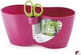 Kruidenpot Limes Dublo Met Schaar 25x12x12cm 2L FUCHSIA Prosperplast