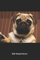 Plan On It 2020 Weekly Calendar Planner - I Love Chinese Pugs - Take Me With You Please!