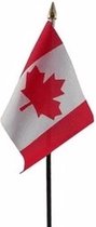Mini drapeau du Canada sur bâton 10 x 15 cm