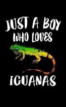 Just A Boy Who Loves Iguanas
