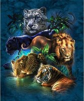 Diamond Painting Pakket – Katachtigen – 25 x 30 cm - Maak de Mooiste Schilderijen Helemaal Zelf