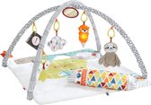 Fisher-Price Baby Gym - Speelmat met 21 Zintuigelijke Ontdekkingsspeeltjes