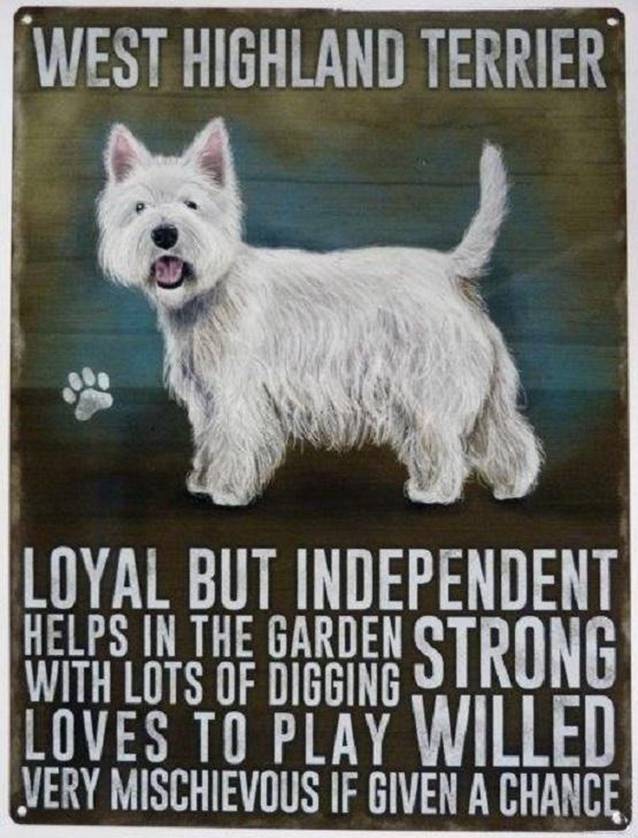 Metal signs UK Wandbord West Highland Terrier -30x40cm