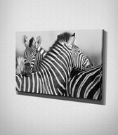 Zebras Black And White Canvas | 30x40 cm