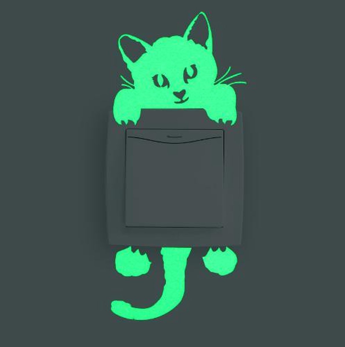 Glow In The Dark kat / poes kinderkamer decoratie lichtknop nachtlampje muur sticker