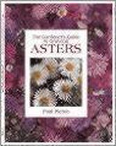 Gardener's Guide To Growing Asters