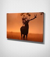 Deer In Sunset Canvas | 70x100 cm