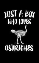 Just A Boy Who Loves Ostriches