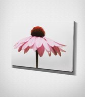 Pink Flower Canvas - 60 x 40 cm - Bloemen - Schilderij - Canvas - Slaapkamer - Wanddecoratie  - Slaapkamer - Foto op canvas