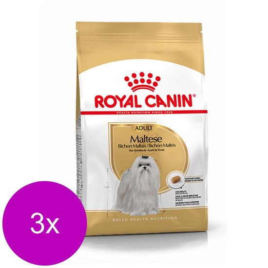 Gouden zak met witte en beige accenten. Royal Canin Maltese Adult hondenvoer. Met afbeelding van een witte Maltezer hond.