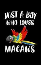 Just A Boy Who Loves Macaws