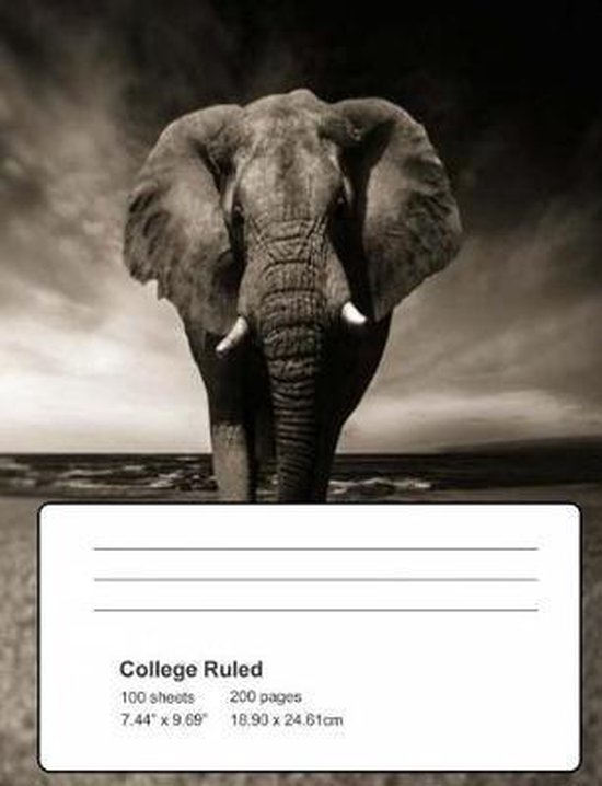 Elephant Composition Book 9781725788374 John Daly Boeken