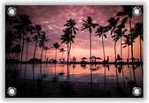 Tuinposter Hawaï bij Zonsondergang 60x40cm- Foto op Tuinposter (wanddecoratie voor buiten en binnen)